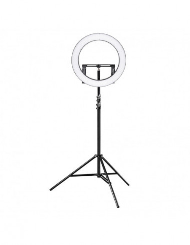 Walimex pro Set of 4 WT-806 Lamp...