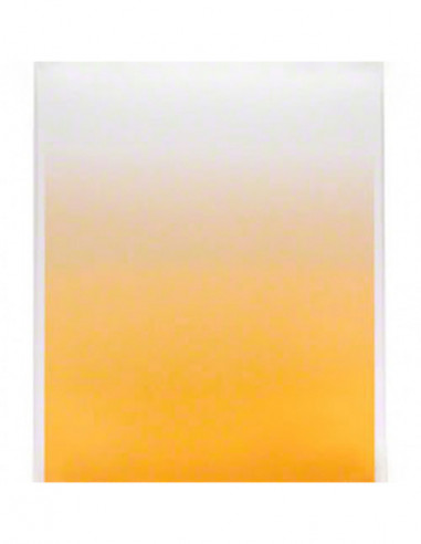 Walimex Graduation Background 80x110cm