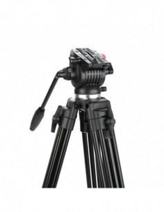 Videostar 177 Pro... 2