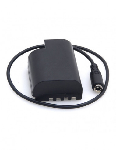 Panasonic DMW DCC12 Full Decoding...