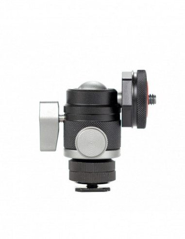 MBH 2 Mini Balhoofd met Coldshoe