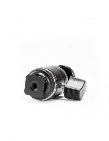 MBH 1 Mini Balhoofd met Coldshoe