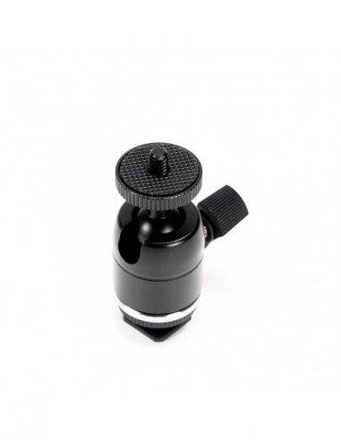 MBH 1 Mini Balhoofd met Coldshoe