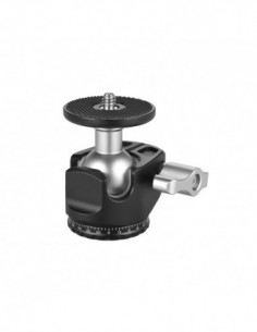 D 25 Camera Balhoofd