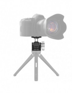 D 25 Camera Balhoofd 2