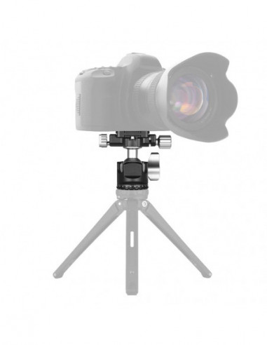 D 25R Camera Balhoofd