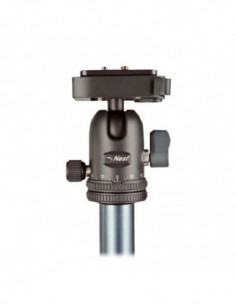 NT 294K + Balhoofd 2