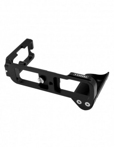 L Plaat Fujifilm X T2