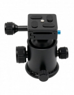 KS 1   Balhoofd & Quick...