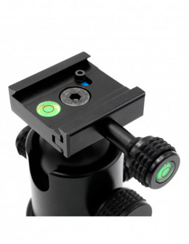 KS 1   Balhoofd & Quick Release