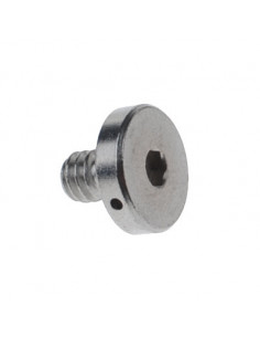 1/4" Schroef   Inbus 2