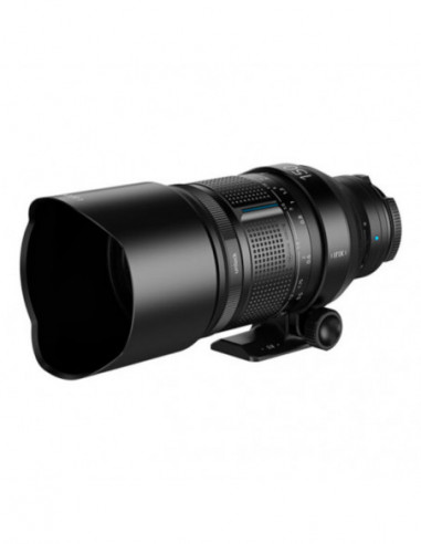 150mm f/2.8 Macro 1:1 Dragonfly Sony E