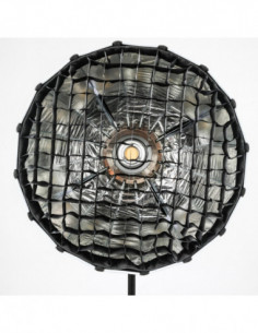 Grid voor 60cm Parabolic...