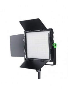 WP35 Panel Fill Light