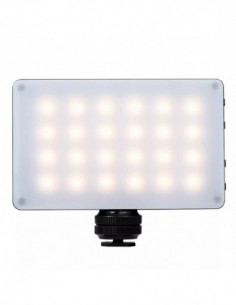 RB08 LED Light