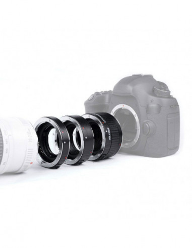 DG C (12mm/20mm/36mm) Automatic...