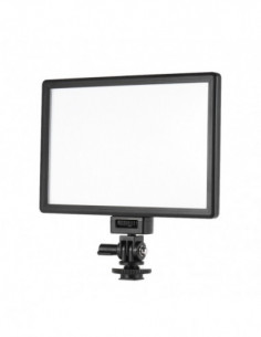 L116T Professional &...