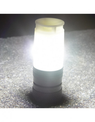 NWE30 electronic whistle