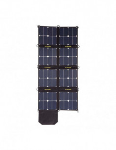 FSP100 Solar Panel