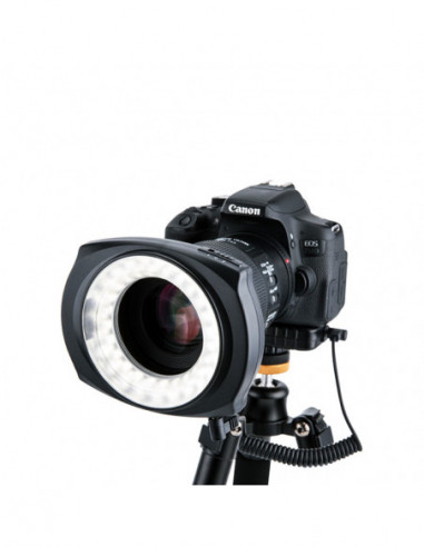 LED 48IO Macro LED Right Light...