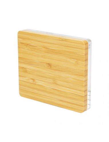 CW NS2 Game Card Case