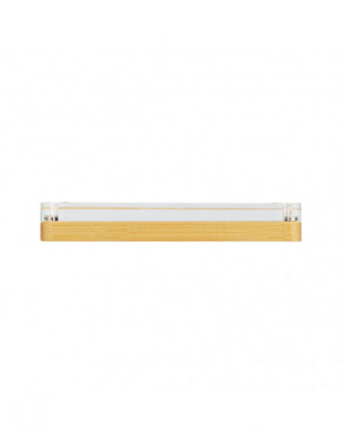 CW NS2 Game Card Case