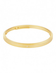 RN GR3 GOLD Lens Decoration... 2