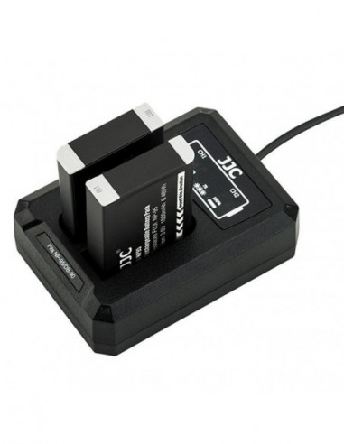 Fuji DCH NP95 USB Dual BatteryCharger...