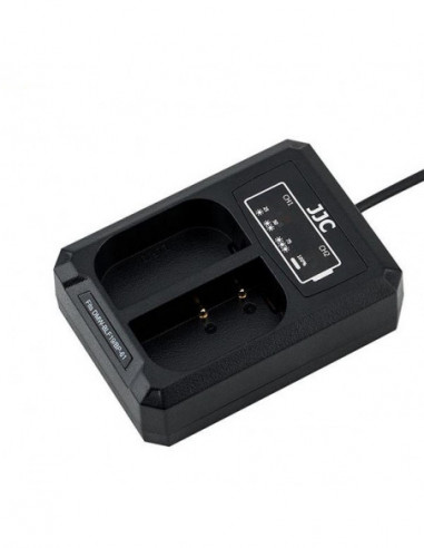 Panasonic DCH BLF19E USB Dual Battery...