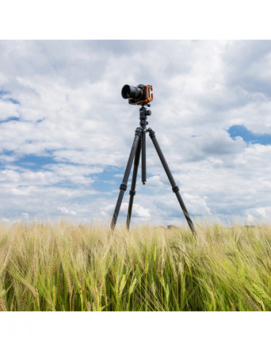 Sherpa Plus Carbon Statief Zwart