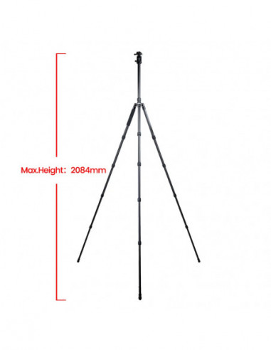 X 65C + FPH 62R Carbon