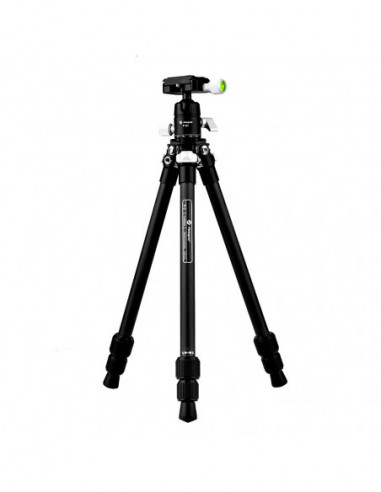 P 2+P2H Carbon Statief met Kop