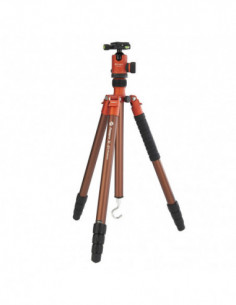 X Go Predator Oranje... 2