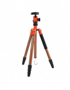 X Go Chameleon Oranje...