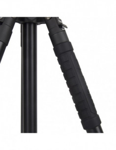 X Go Chameleon Zwart...