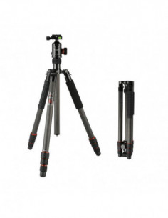 X go Max Carbon Tripod