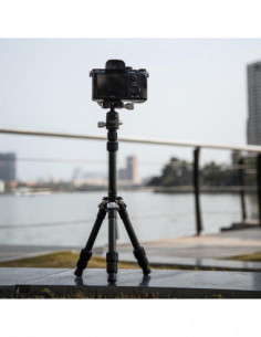 P 2A Mini Carbon Middenkolom