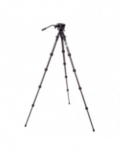 Legends Jay & AirHed Cine...