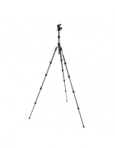 Punks Brian 2.0 with Airhed Neo 2.0...