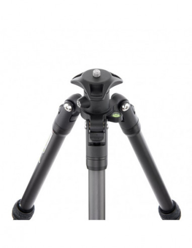 Punks Brian 2.0 with Airhed Neo 2.0...