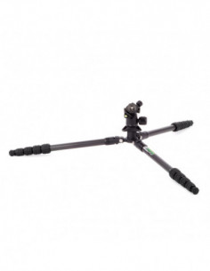 Punks Billy 2.0 with Airhed...