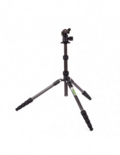 Punks Billy 2.0 with Airhed... 2