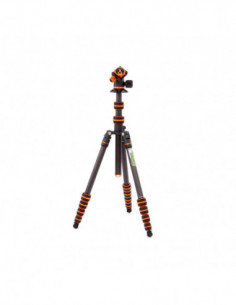 Punks Brian 2.0 with Airhed... 2