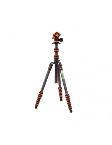 Punks Brian 2.0 with Airhed Neo 2.0...