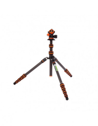 Punks Brian 2.0 with Airhed Neo 2.0...