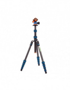 Punks Brian 2.0 with Airhed...