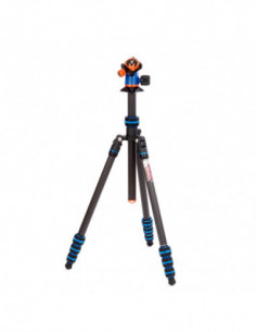 Punks Billy 2.0 with Airhed...