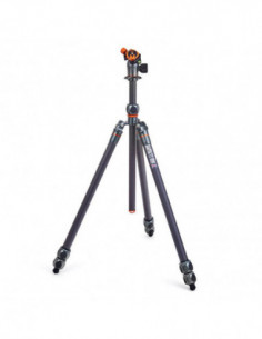 Pro 2.0 Winston Carbon...