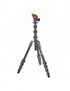 Pro 2.0 Albert Carbon...