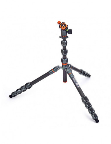 Pro 2.0 Albert Carbon tripod & AirHed...